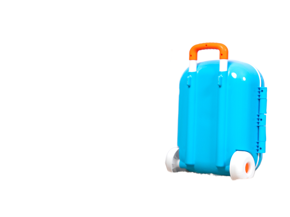 maleta-hotel-para-perros