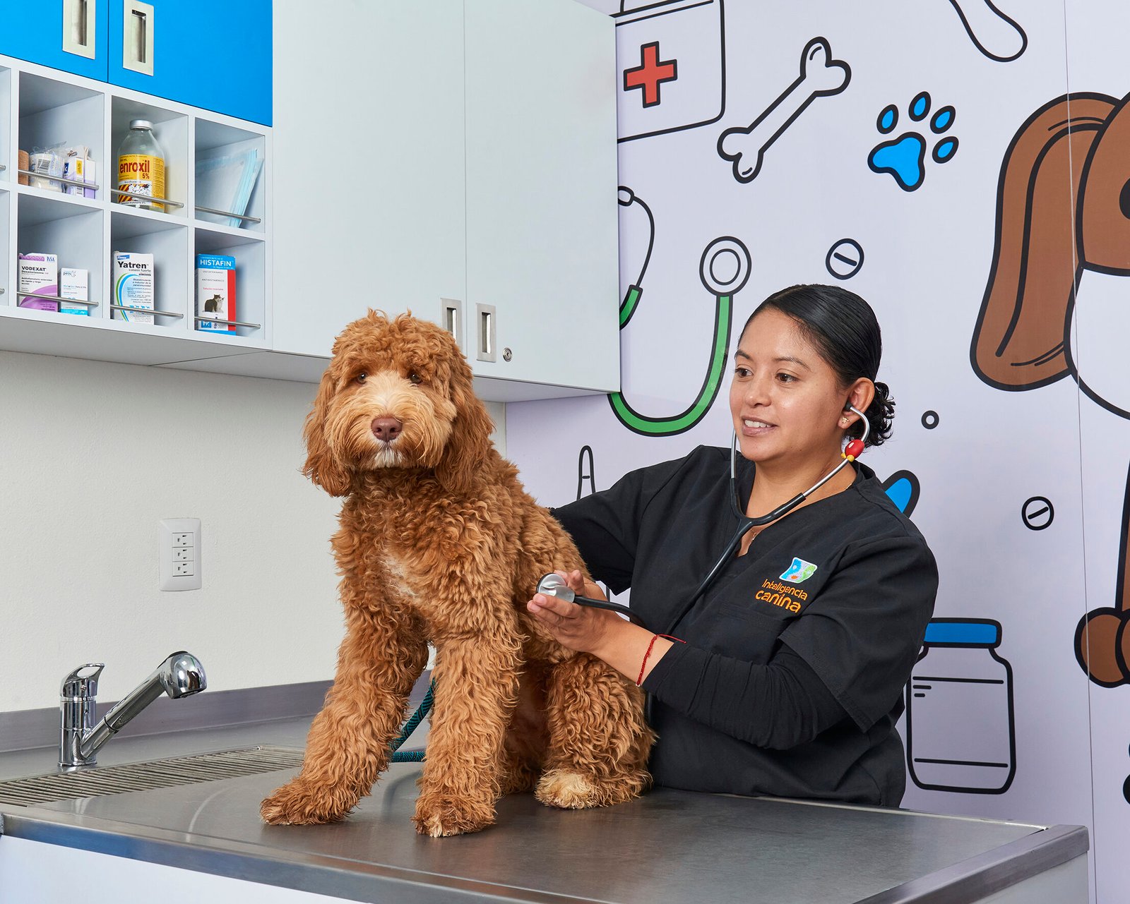 Inteligencia Canina MVZ