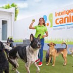 Dejar a mi perro en una pensión o guardería