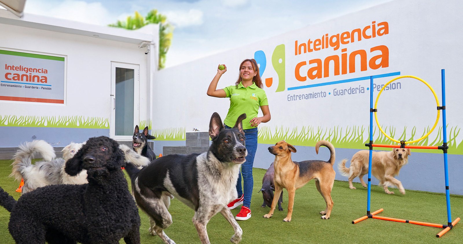 dejar-a-mi-perro-en-una-pensión-o-guardería