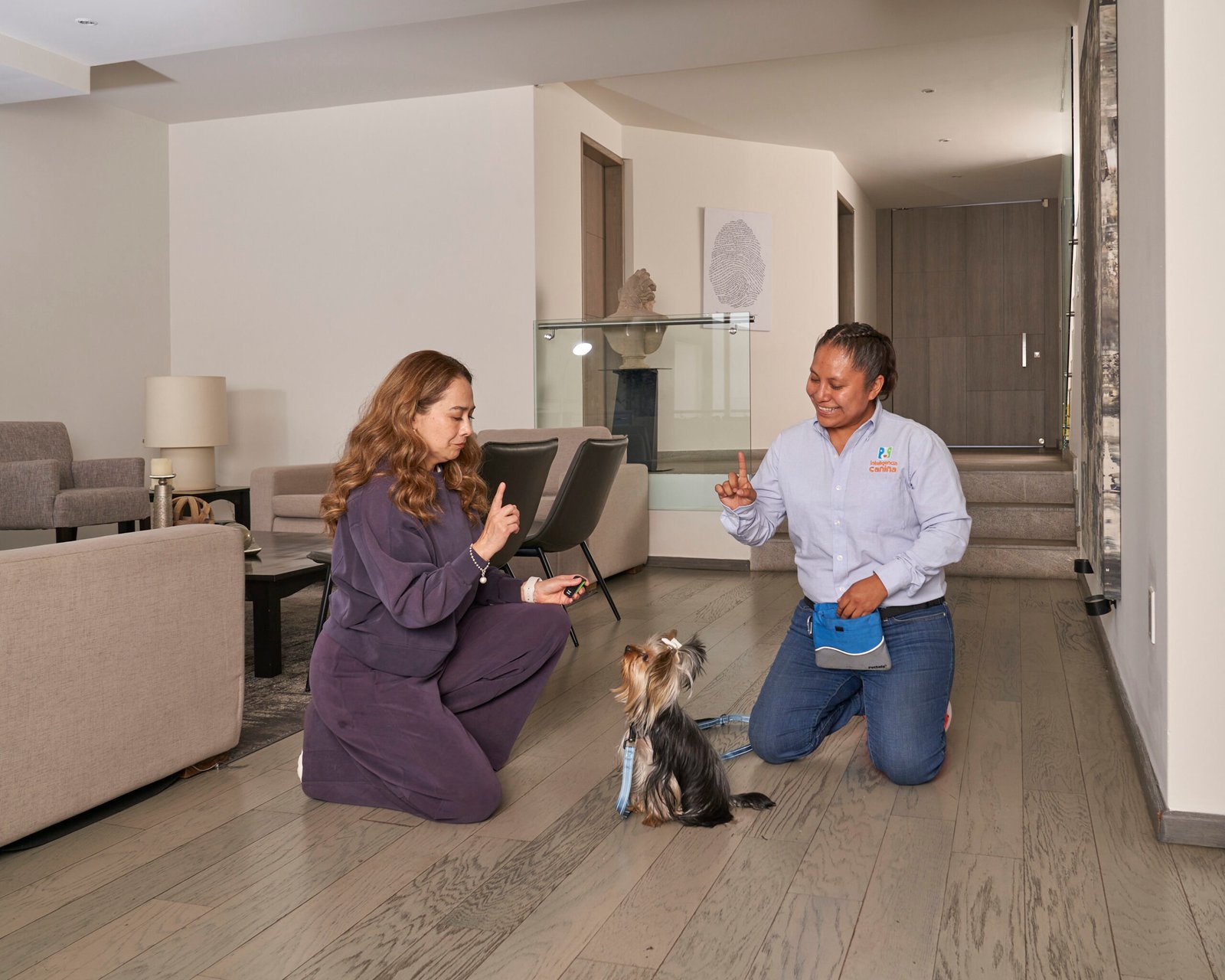 Adiestramiento Canino a Domicio IC